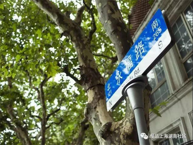 在梧桐树下迷路—一份带点私心的上海高校游指南 在梧桐树下迷路—一份带点私心的上海高校游指南
