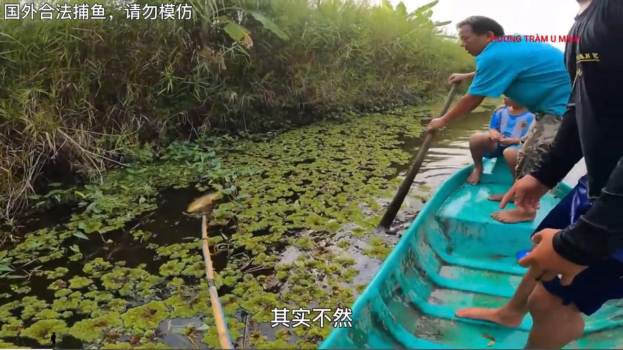 今天去菜市场买菜，摊主问我，矽，是不是新能源？