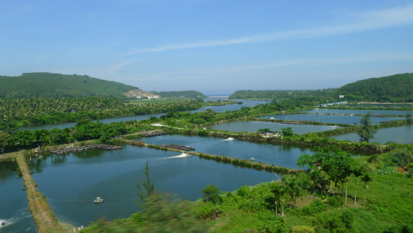 住进达美溪湖湾三个月，我才搞懂湖景房的真实含义