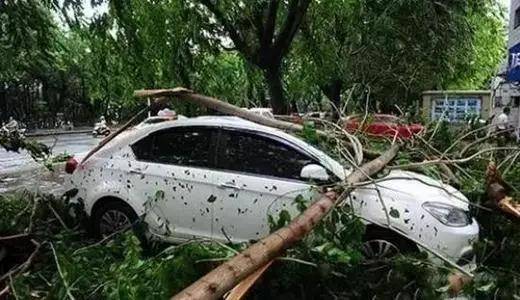 冰雹砸下来的时候，我的车到底该怎么办